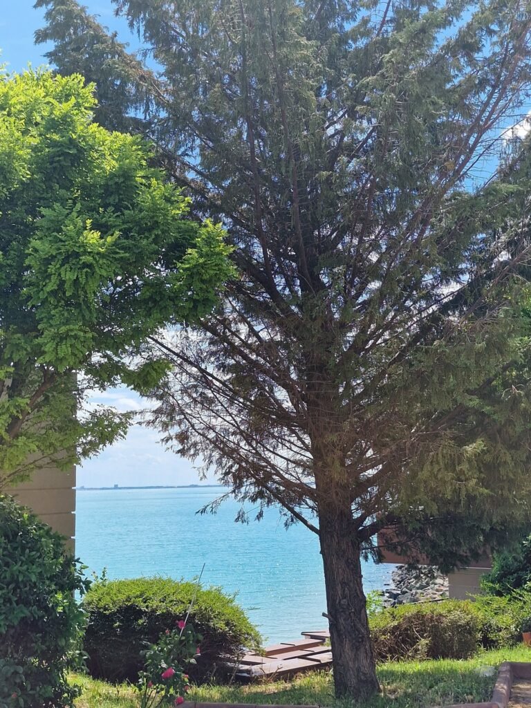 Sun terrace at Ferano Beach Apartments, Nessebar